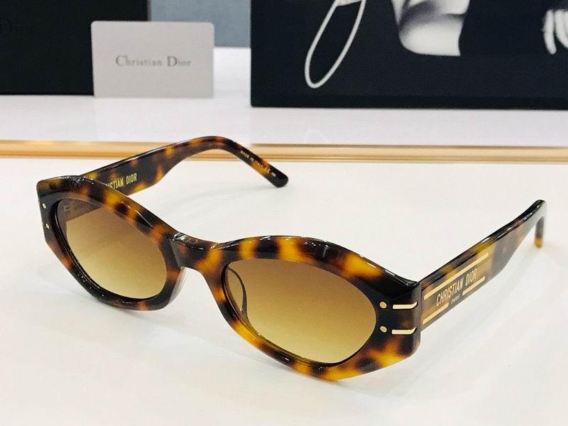 DIOR Sunglasses 427